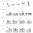guia-puntos-crochet-1