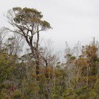 parque-nacional-chiloe-small
